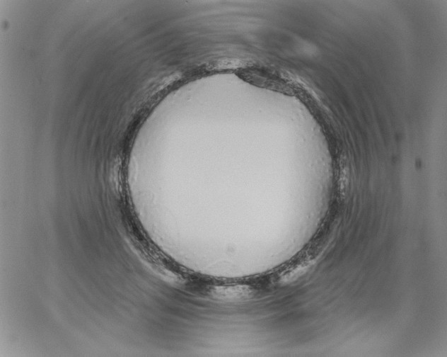 X0000066970455200604211911