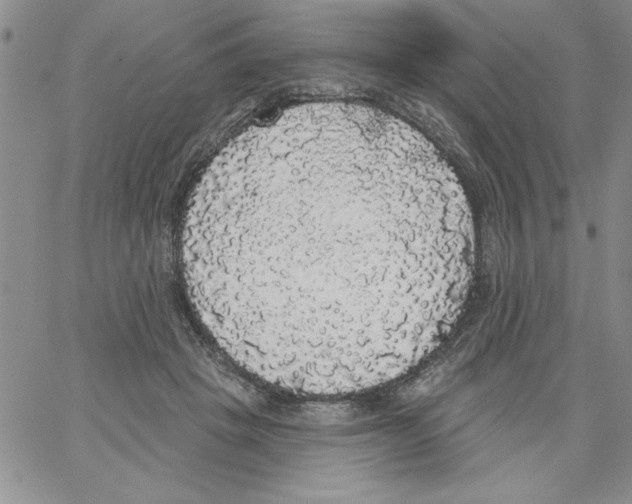 X0000066970457200604211911