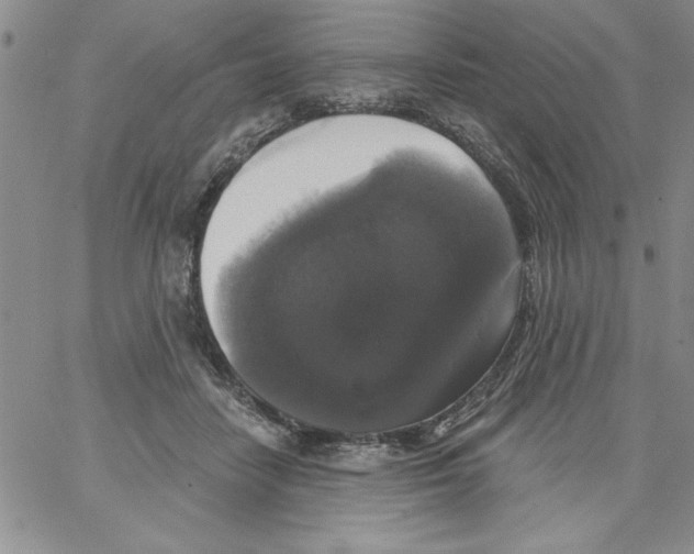 X0000066970458200604211911