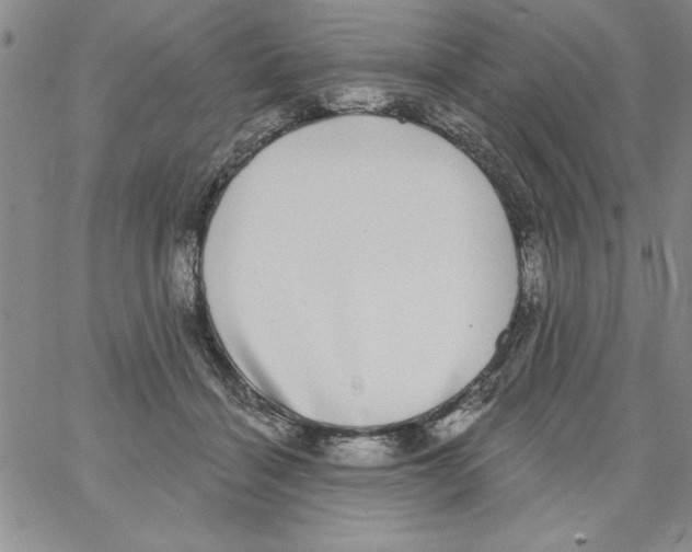 X0000066970460200604211911