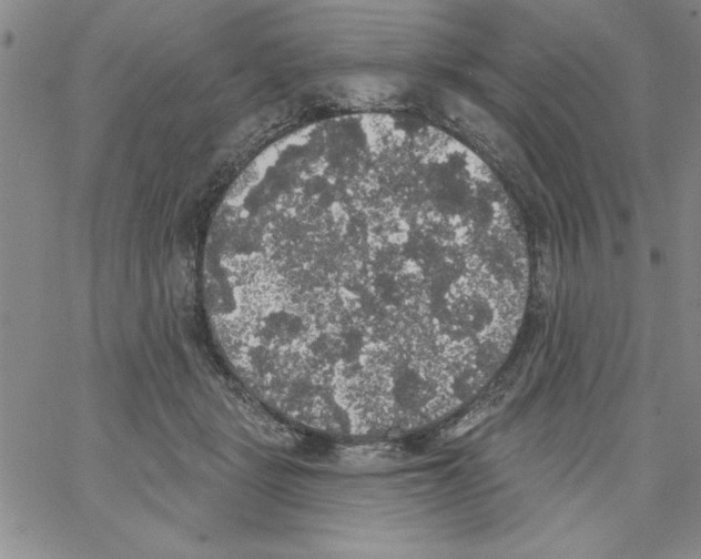 X0000066970461200604211911