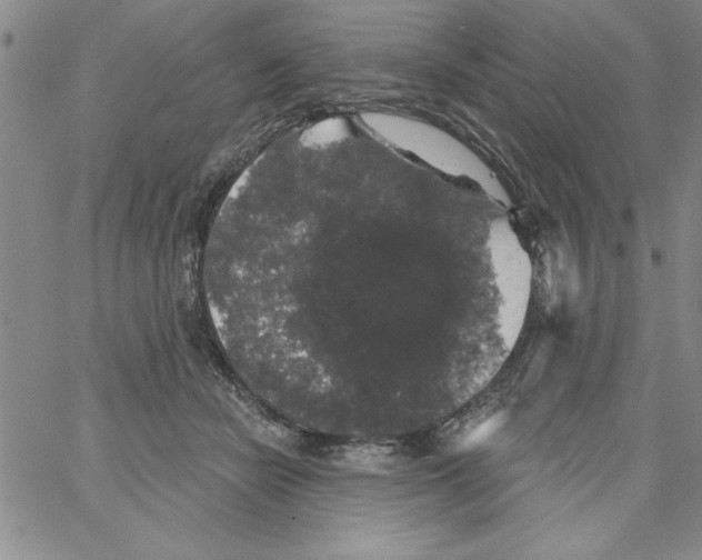 X0000066970462200604211911