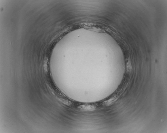 X0000066970464200604211911