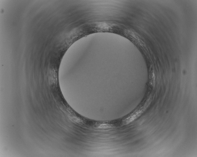 X0000066970467200604211911