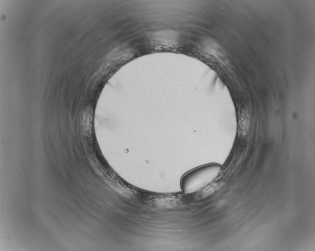 X0000066970468200604211911