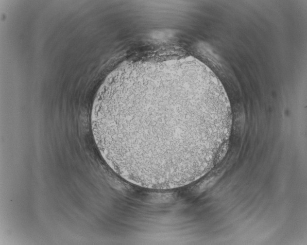 X0000066970469200604211911