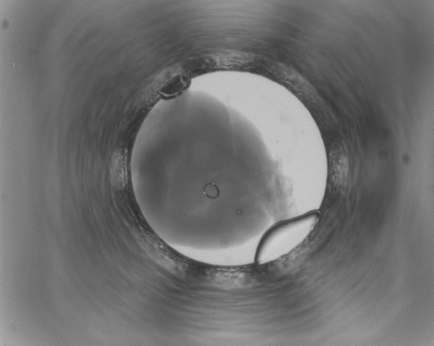 X0000066970471200604211911