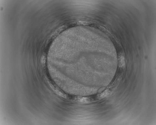 X0000066970472200604211911