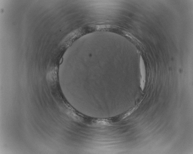 X0000066970475200604211911