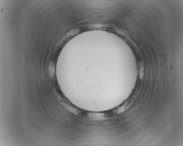 X0000066970476200604211911