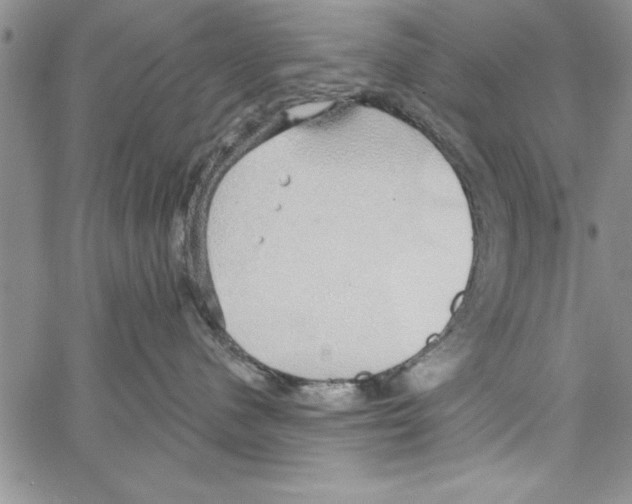 X0000066970480200604211911