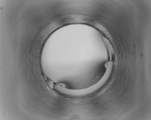 X0000066970481200604211910