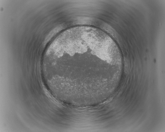 X0000066970482200604211910