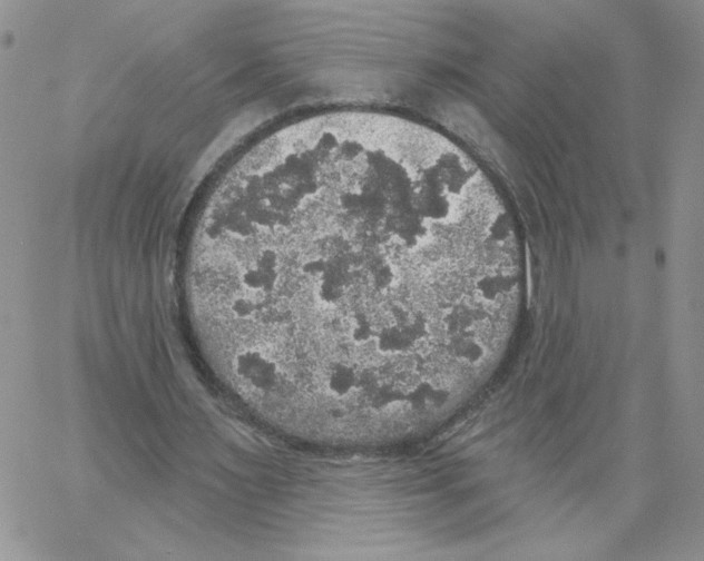 X0000066970483200604211910