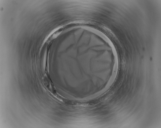 X0000066970484200604211910