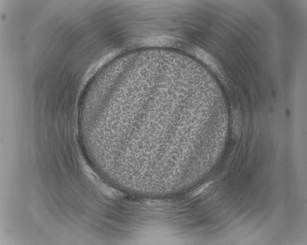 X0000066970486200604211910