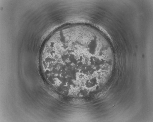 X0000066970487200604211910