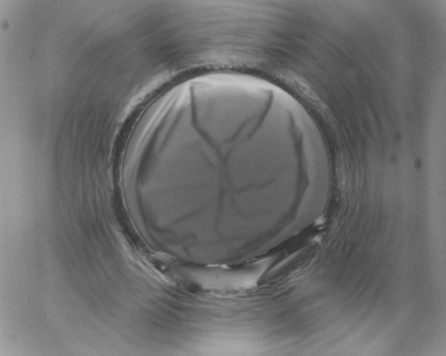 X0000066970488200604211910