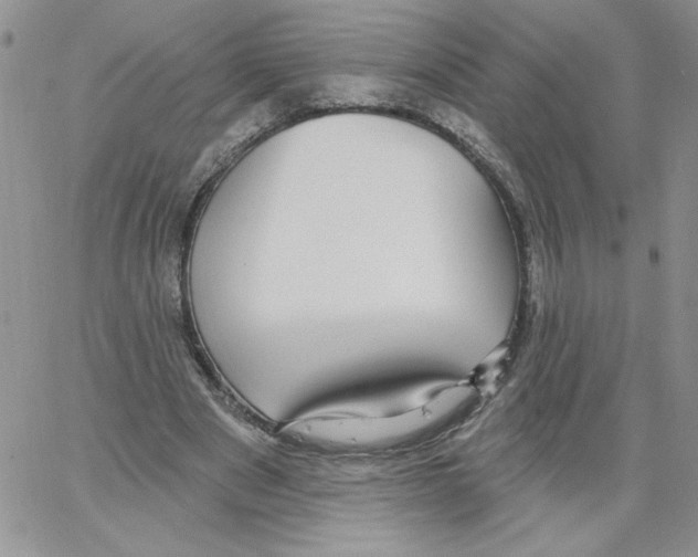 X0000066970489200604211910