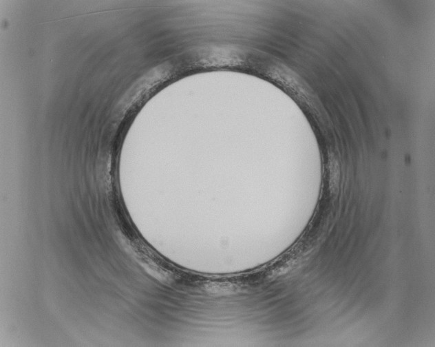 X0000066970490200604211910