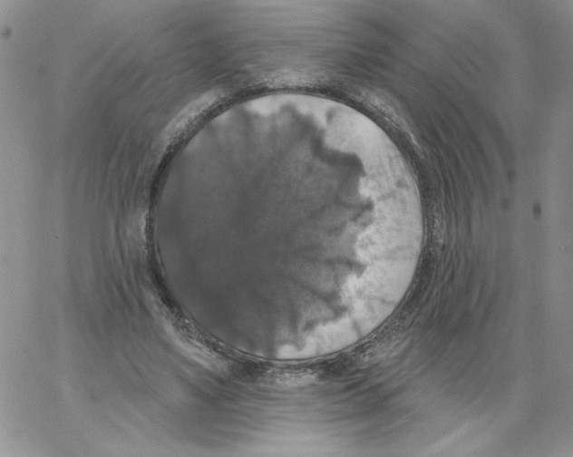 X0000066970491200604211910