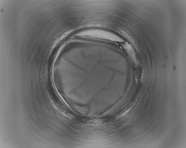 X0000066970492200604211910