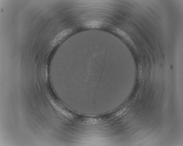 X0000066970494200604211910