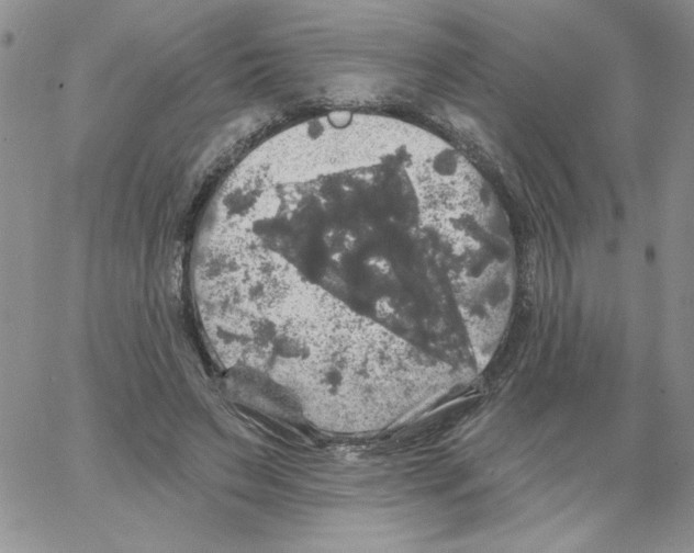 X0000066970495200604211910