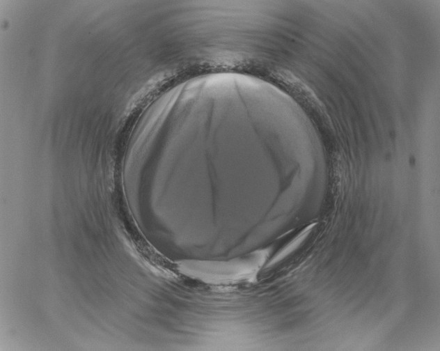 X0000066970496200604211910