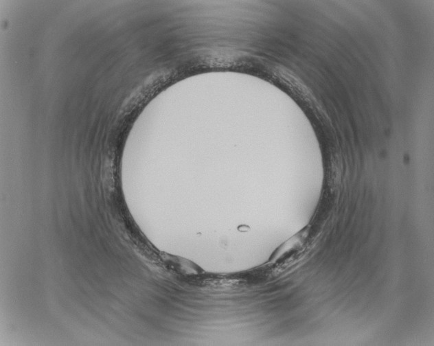 X0000066970497200604211910