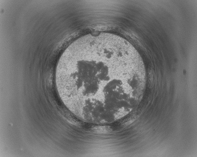 X0000066970499200604211910