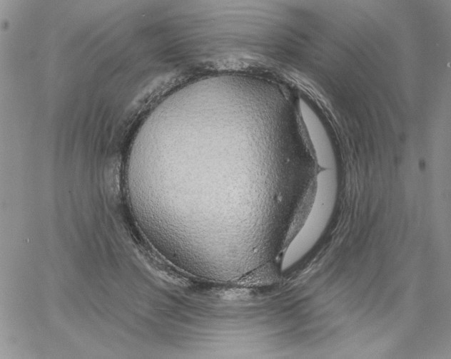 X0000066970501200604211910