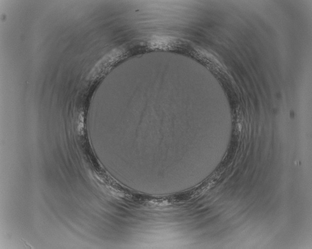 X0000066970502200604211910