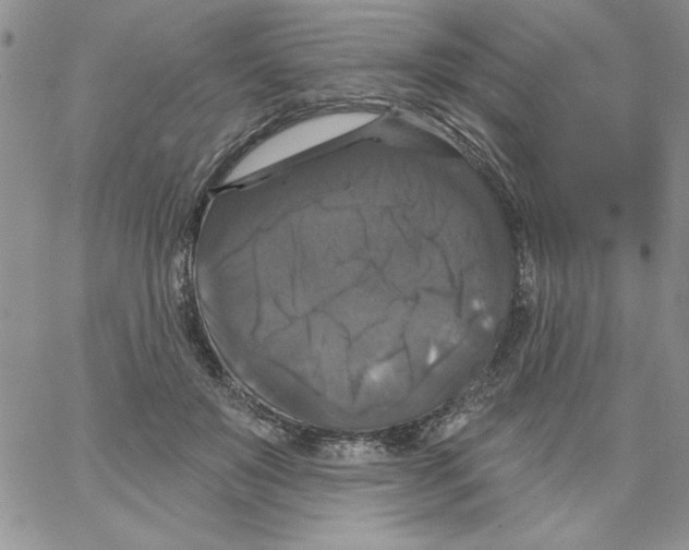 X0000066970503200604211910