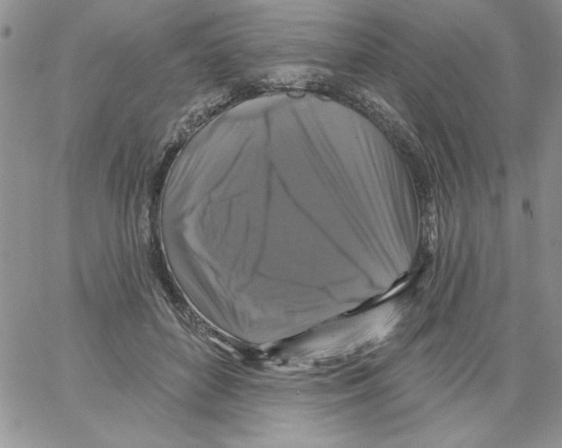 X0000066970504200604211910