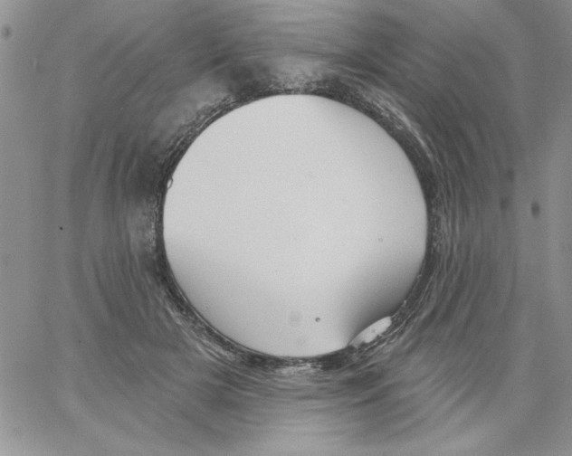 X0000066970505200604211910