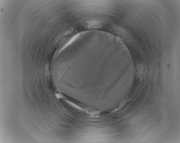 X0000066970506200604211910