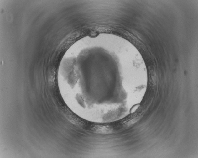 X0000066970507200604211910