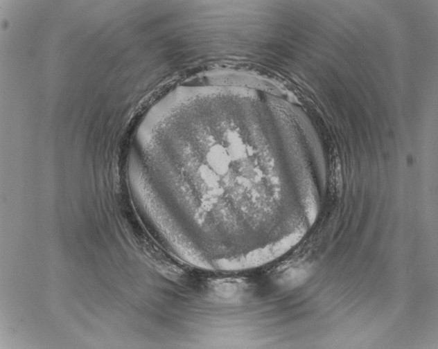 X0000066970508200604211910