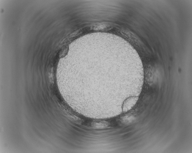 X0000066970510200604211910