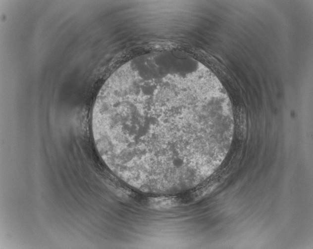 X0000066970511200604211910