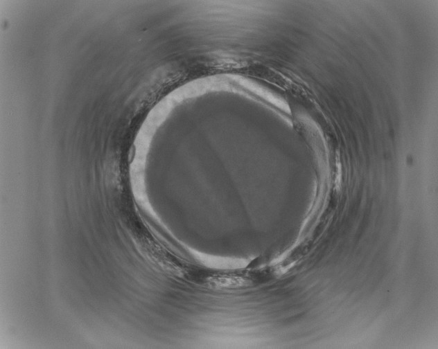 X0000066970512200604211910