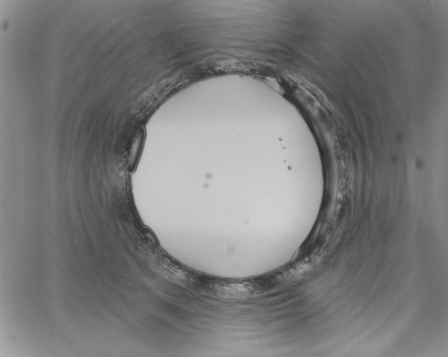 X0000066970513200604211910