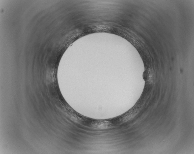 X0000066970514200604211910