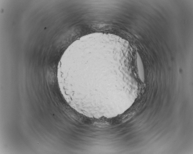 X0000066970515200604211910