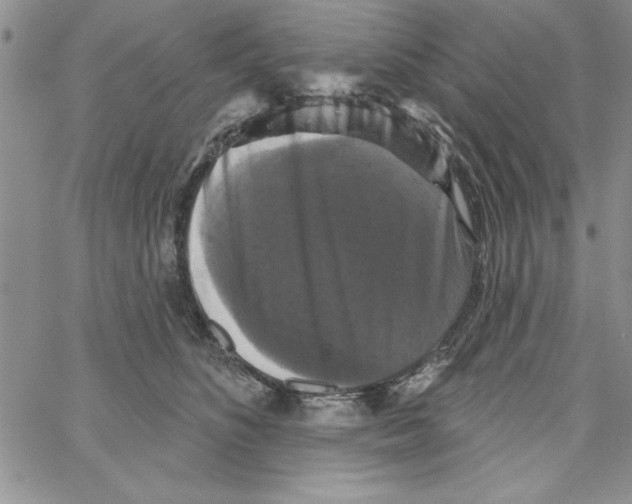 X0000066970516200604211910