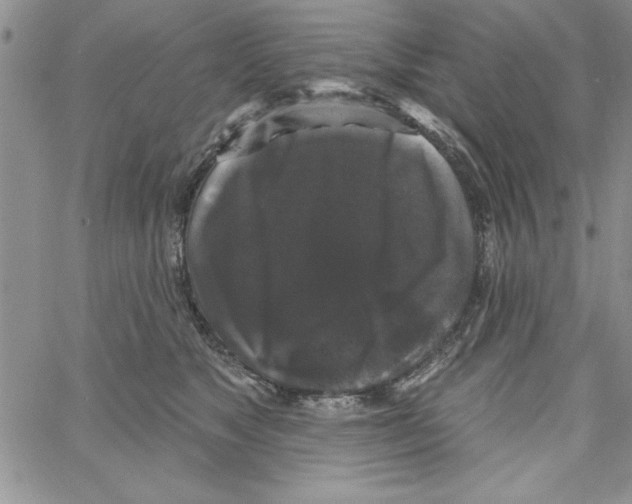 X0000066970517200604211910