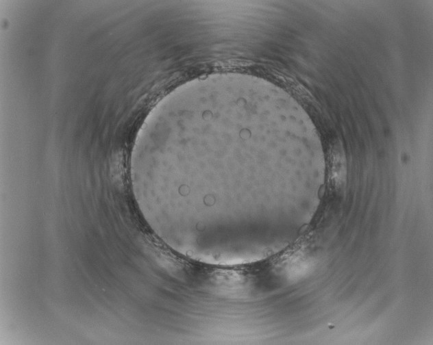 X0000066970519200604211910