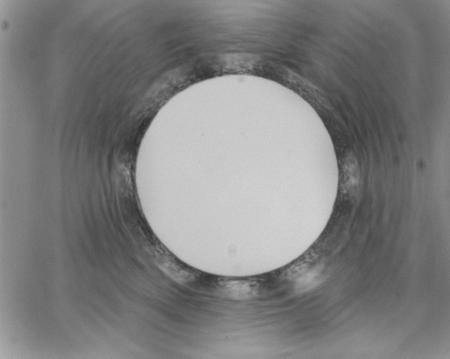 X0000066970522200604211910