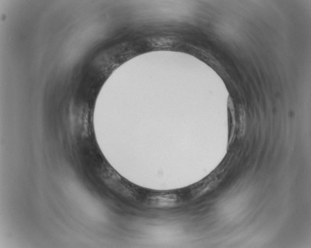 X0000066970525200604211909